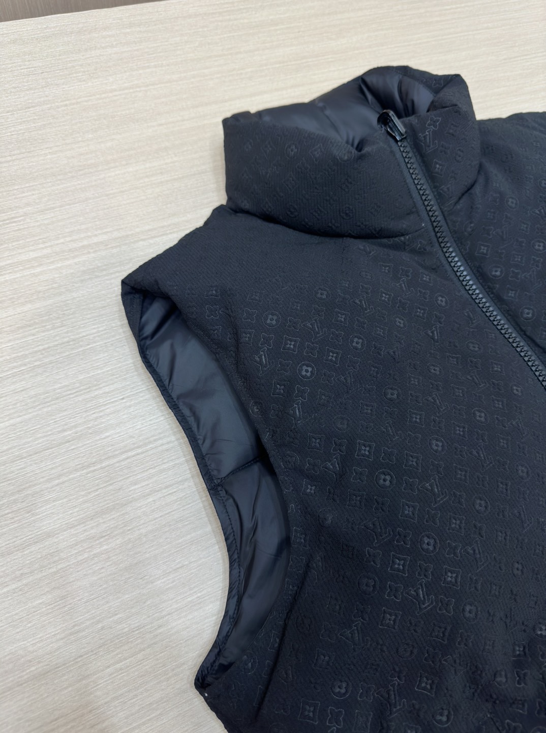 Louis Vuitton Down Jackets